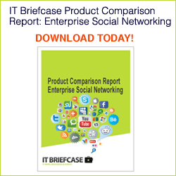 ITBriefcase Comparison Report