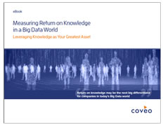 coveo book ebook: Measuring Return on Knowledge in a Big Data World