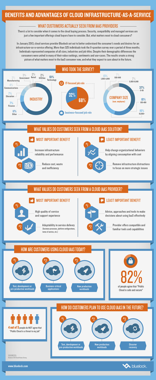 Bluelock Cloud Infographic Bluelock Infographic   What Customers Actually Seek from Cloud Providers