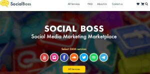 social boss 300x148 REVIEW: 26 BEST SITES TO BUY NEW TWITTER FOLLOWERS 